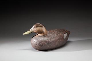 Appraisal: Turned-Head Black DuckLouis C Rathmell - Danbury CT A cork-bodied