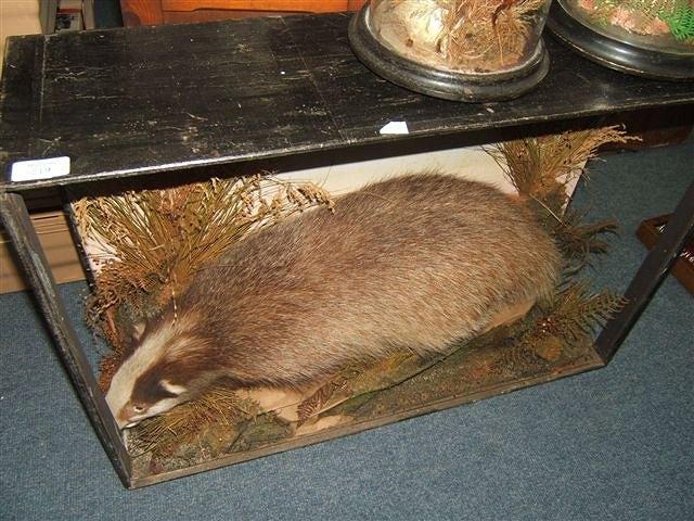 Appraisal: A BADGER MOUNTED IN A NATURALISTIC SETTING within a distressed