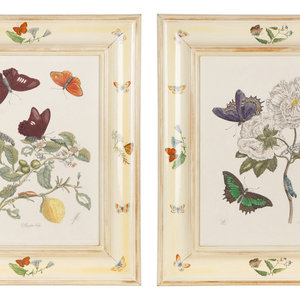 Appraisal: Three Butterfly and Botanical Prints TH CENTURY in painted frames