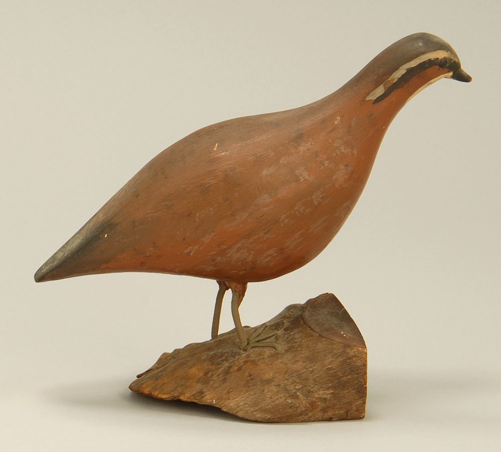 Appraisal: LIFE-SIZE BOBWHITE QUAIL By Alfred Gardner of Accord Massachusetts