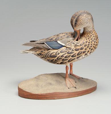 Appraisal: Finely carved and painted duck in grooming position walnut base