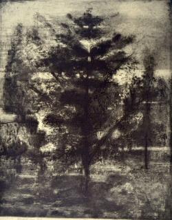 Appraisal: Michael Mazur etching Michael Mazur American - - ''Night Pines