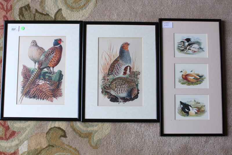 Appraisal: A pair of coloured prints of pheasants and grouse cm