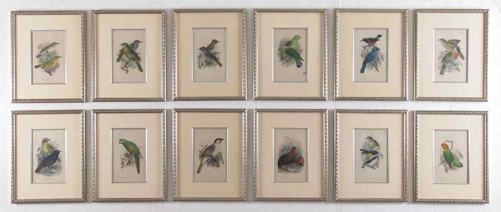 Appraisal: ORINTHOLOGICAL BIRD PRINTS KEULEMANS LITHOGRAPHS ''Sibutuense Hypoleucum'' ''Agapornis Lilianae'' ''Pycnonotus