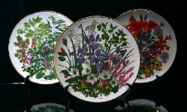 Appraisal: A set of twelve 'Flowers of the Year' plate collection