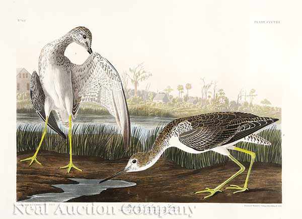 Appraisal: John James Audubon American - Telltale Godwit or Snipe Plate