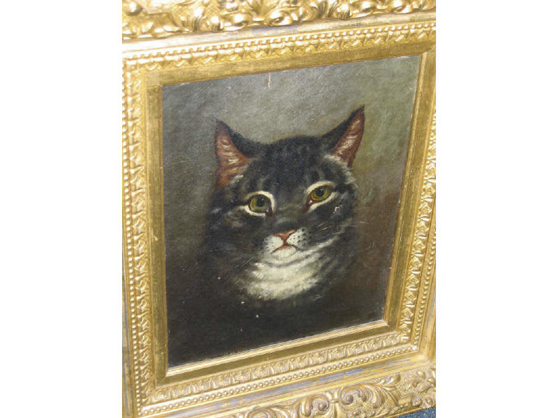 Appraisal: WILLIAM JACOB I HAYS AMERICAN - Portrait of a cat