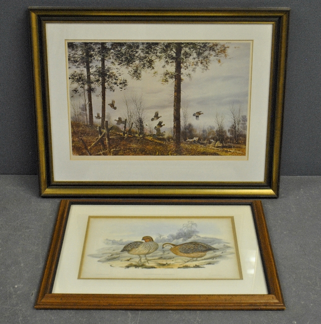 Appraisal: - Framed and matted print of quail pencil signed by