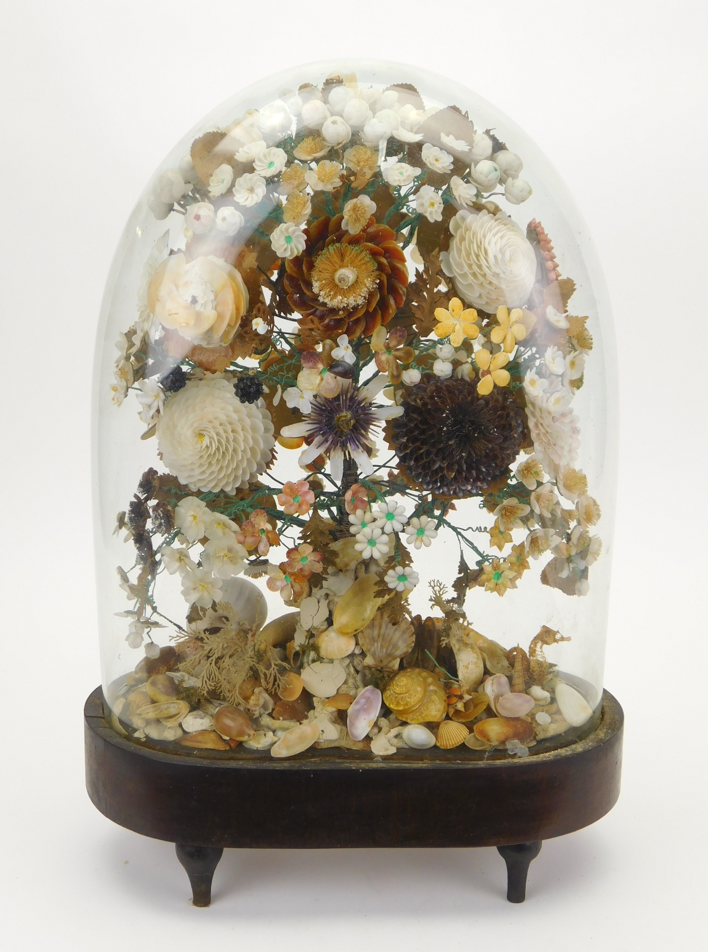 Appraisal: Victorian seashell floral arrangement set under a glass dome ''h