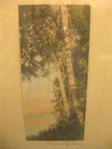 Appraisal: Wallace Nutting Print birches along the water signed image area