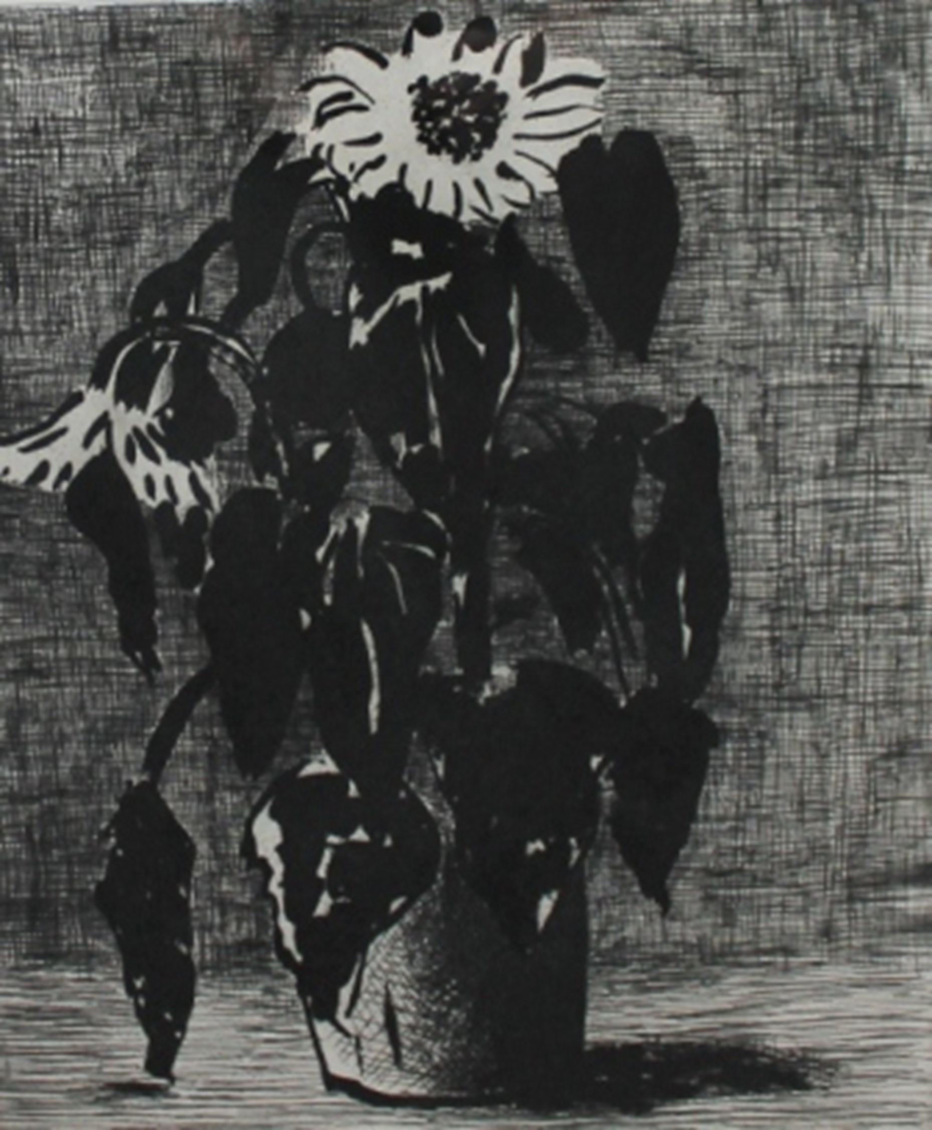 Appraisal: David Hockney b Sunflower II Tokyo etching signed and dated