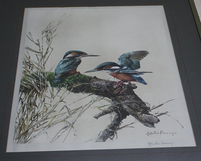 Appraisal: A DECORATIVE PRINT OF KINGFISHERS after Edwin Penny signed in