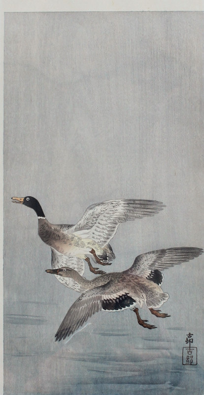 Appraisal: KOSON Ohara Japanese - Mallards in Flight Woodblock Print ''