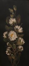 Appraisal: Continental C Late th Early th Century Daisies Oil on