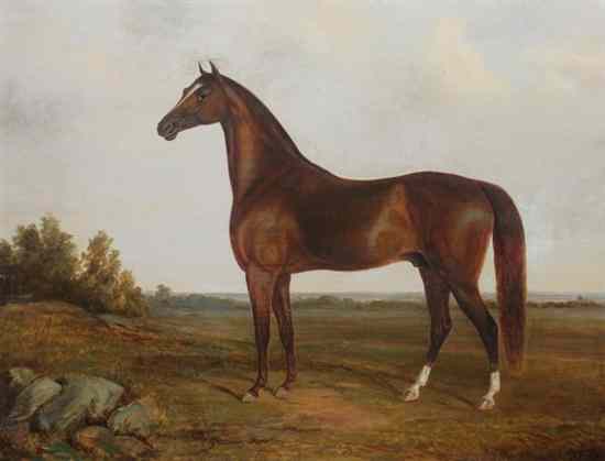 Appraisal: JOHN NELSON British th th century PORTRAIT OF BAY HORSE