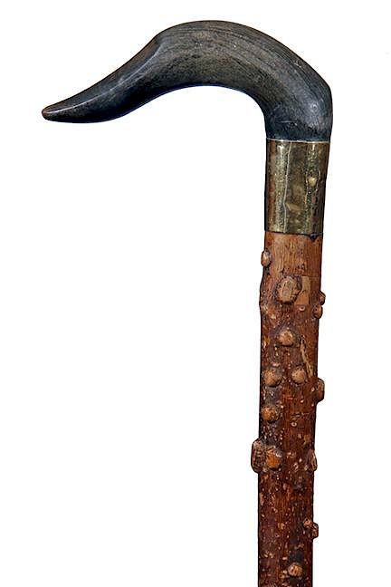 Appraisal: Stylized Horn Duck Cane Ca - A carved stylized duck