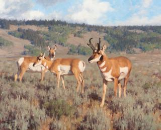 Appraisal: TUCKER SMITH b Pronghorns TUCKER SMITH b Pronghorns oil on