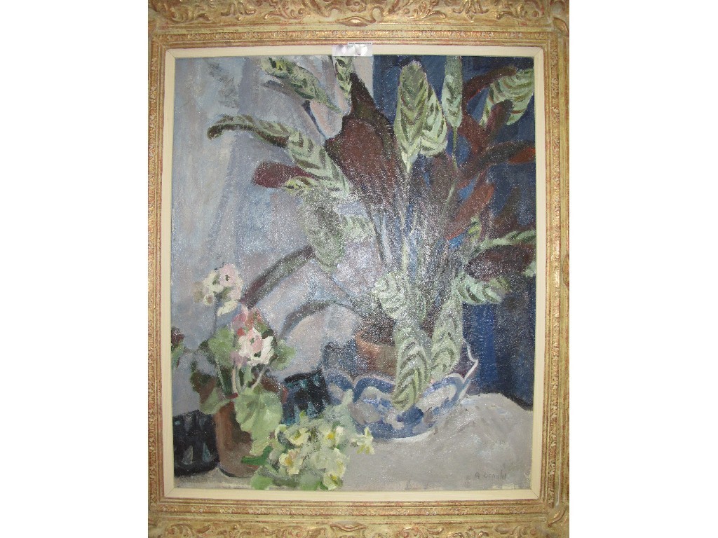 Appraisal: ANNE DONALD Oil on board still life signed