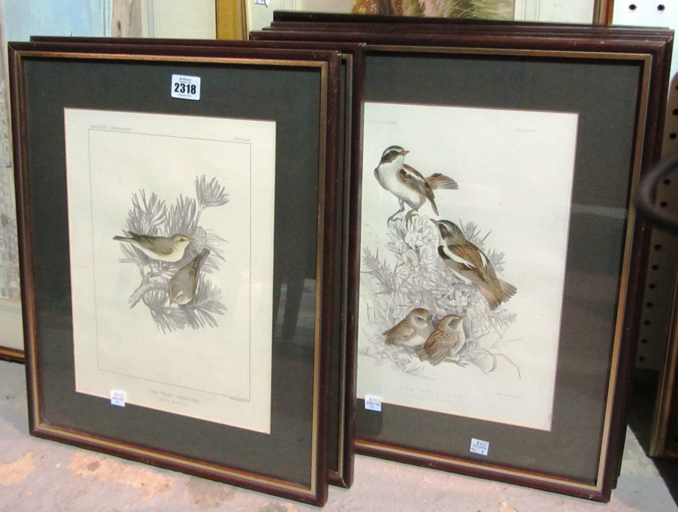 Appraisal: prints of birds