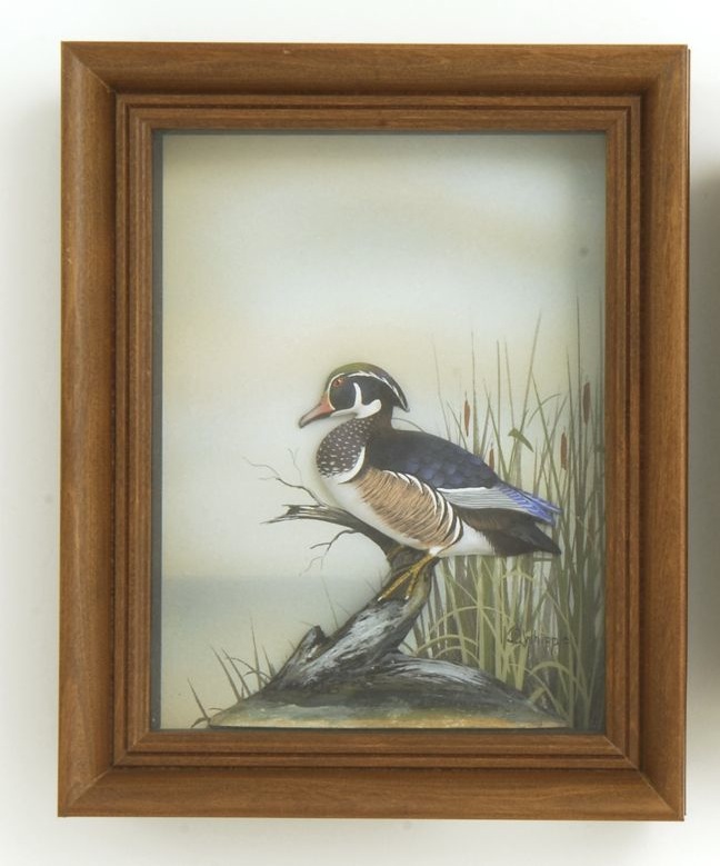 Appraisal: FRAMED JOSEPH Q WHIPPLE SHADOW BOX DIORAMA Circa Wood duck