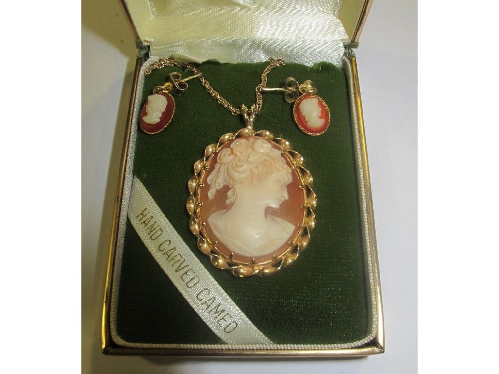 Appraisal: Fourteen carat gold mounted cameo pendant on ct gold neckchain