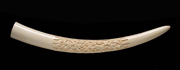 Appraisal: An ivory elephant tusk with carved dragon panel th Century