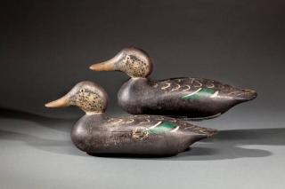 Appraisal: Two Standard Grade Black Ducks Mason Decoy Factory - Detroit