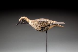 Appraisal: Running Plover by Elisha Burr Elisha Burr - Hingham MA