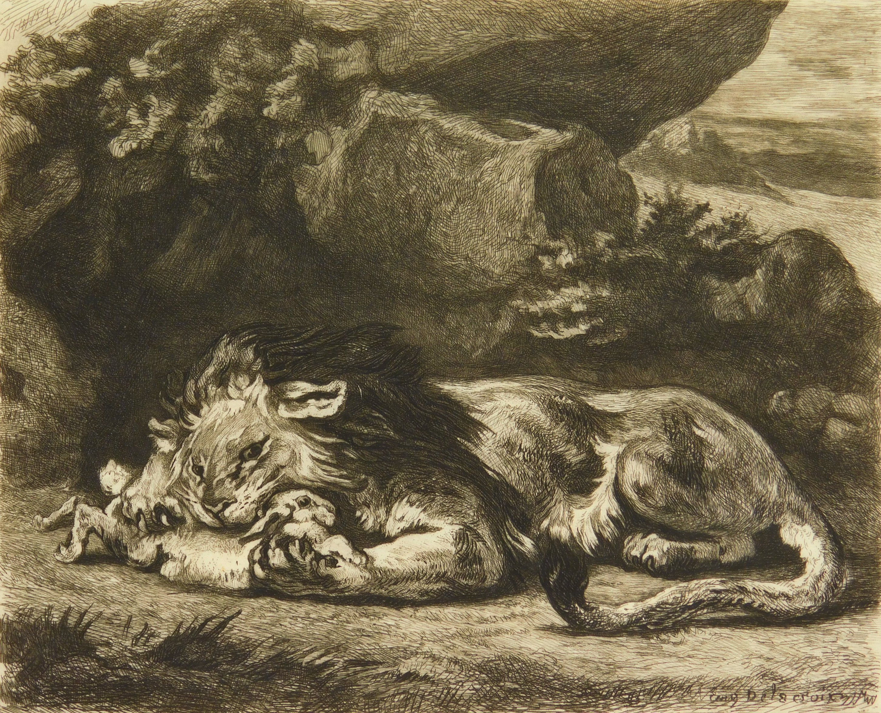 Appraisal: Gustave Marie Greux French - ''Lion Evorant Un Lapin''- etching