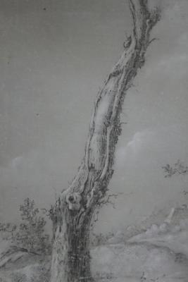 Appraisal: Jean Francois Legillon - Tree in a Landscape black chalk