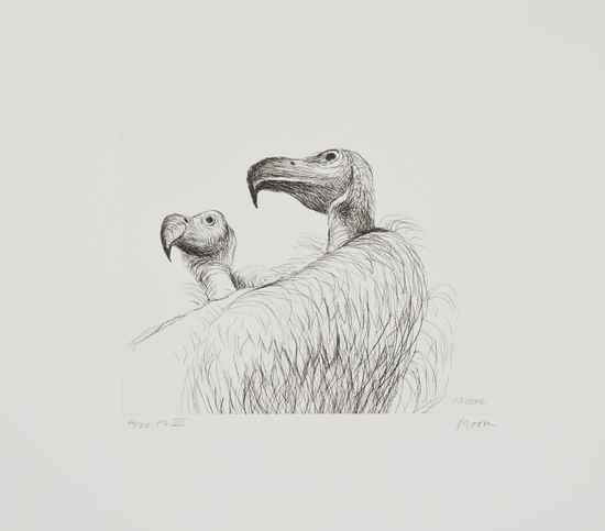 Appraisal: Henry Moore - Vultures c etching signed and numbered PL