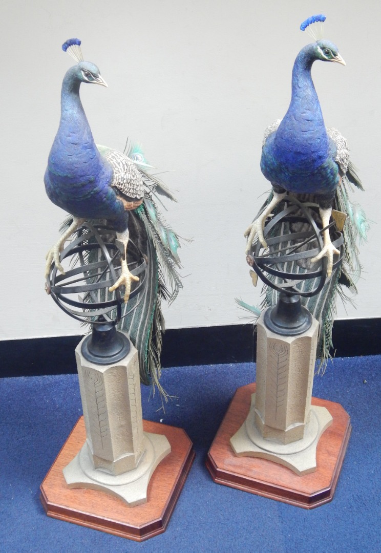 Appraisal: A pair of Border Fine Arts Sculptured resin models of