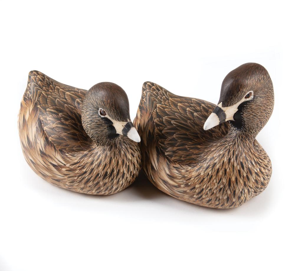 Appraisal: Reagan Danos American Larose LA b Pied-Billed Grebe Drake and