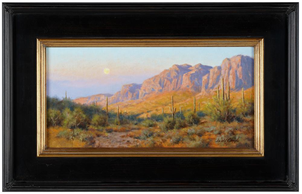 Appraisal: DAVID CHAPPLE SONORAN MOONRISEoil on board signed lower right titled