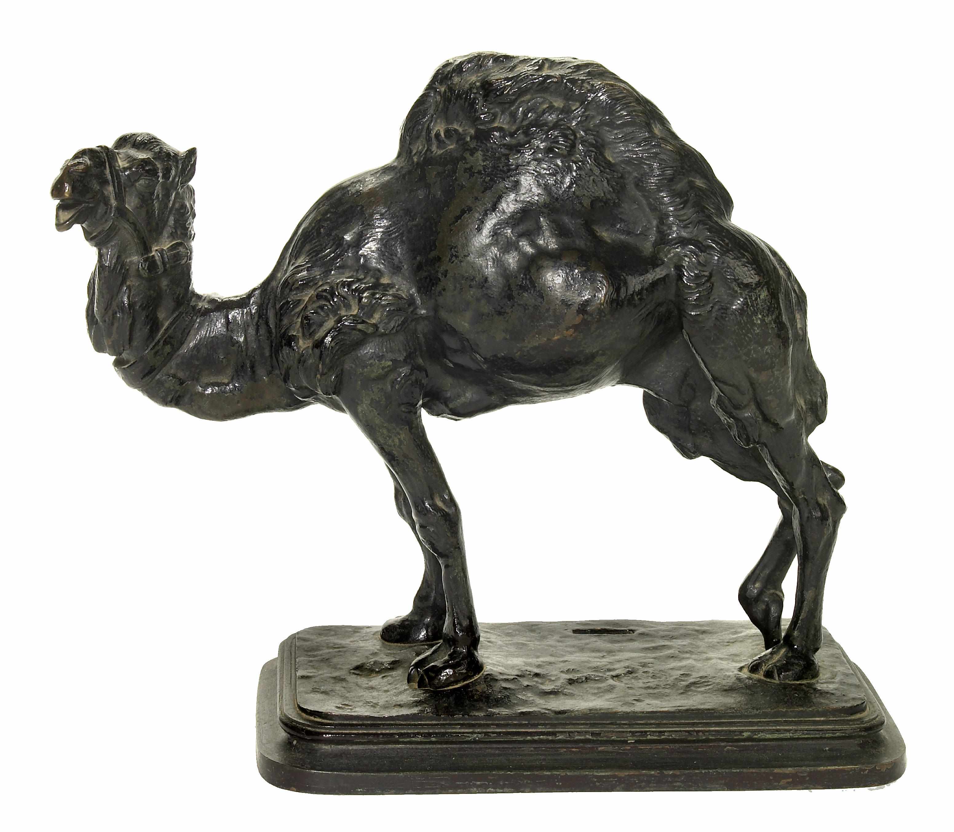 Appraisal: A French patinated bronze model of a dromedary Chameau Tartare