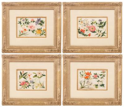 Appraisal: Chinese School A set of four Botanical Studies watercolour on