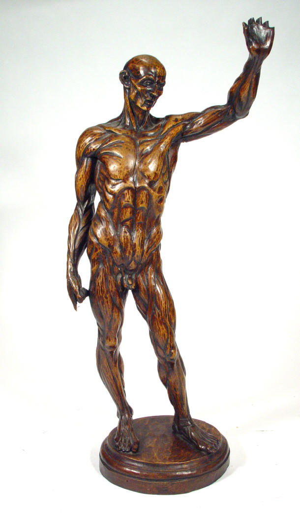 Appraisal: Large carved fruitwood figure displaying the muscle groups on an