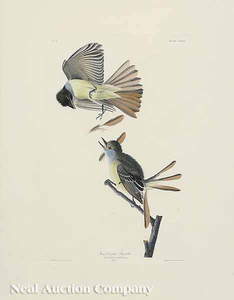 Appraisal: After John James Audubon American - Great Crested Flycatcher No