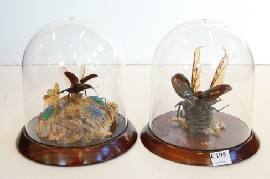 Appraisal: TWO BEATLE DIORAMAS