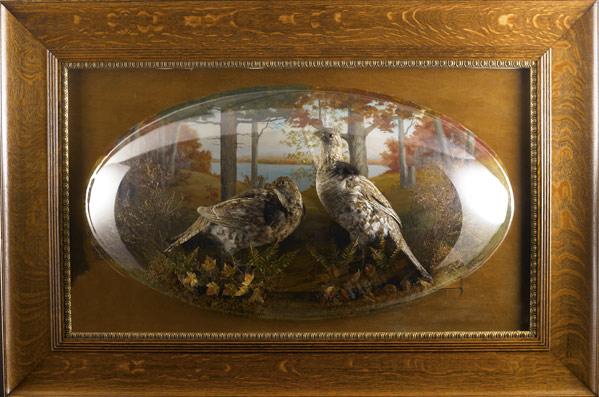 Appraisal: VICTORIAN DIORAMA Of two taxidermied puffed grouse before a scenic