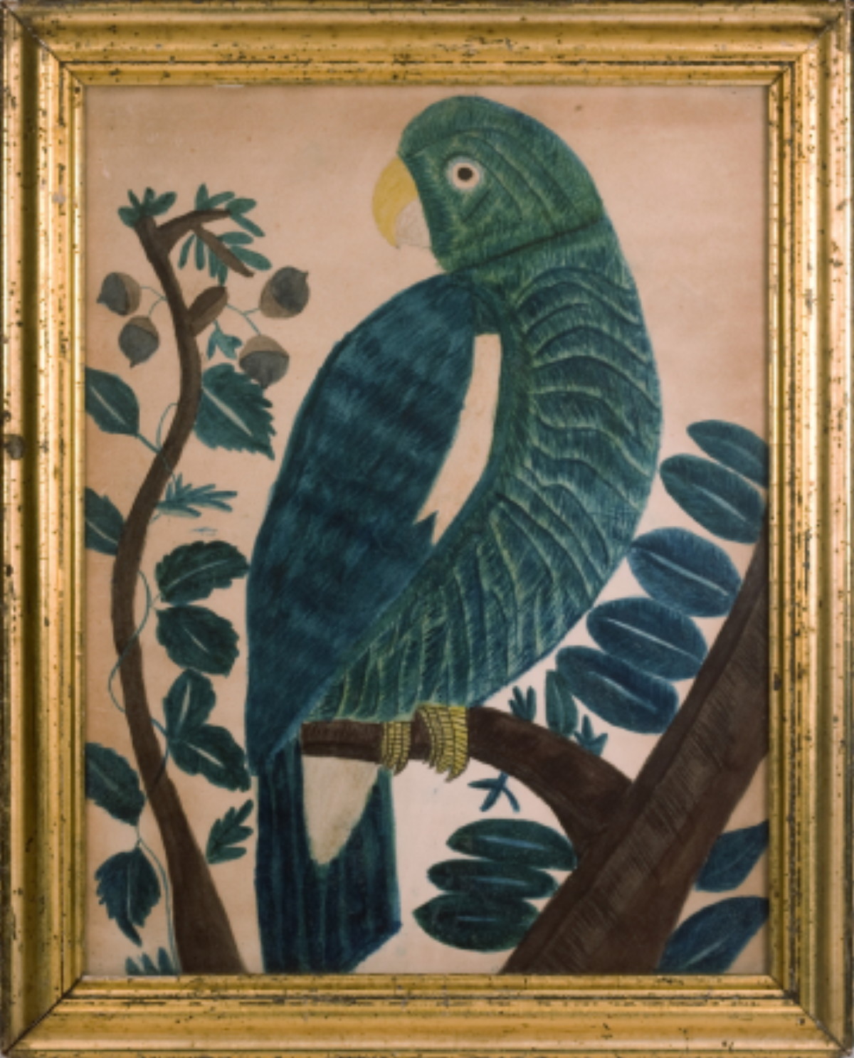 Appraisal: AMERICAN WATERCOLOR OF A GREEN PARROT ON BRANCH MID-NINETEENTH CENTURY