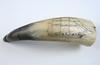 Appraisal: POWDER HORN - th C scrimshawn powder horn depicting the