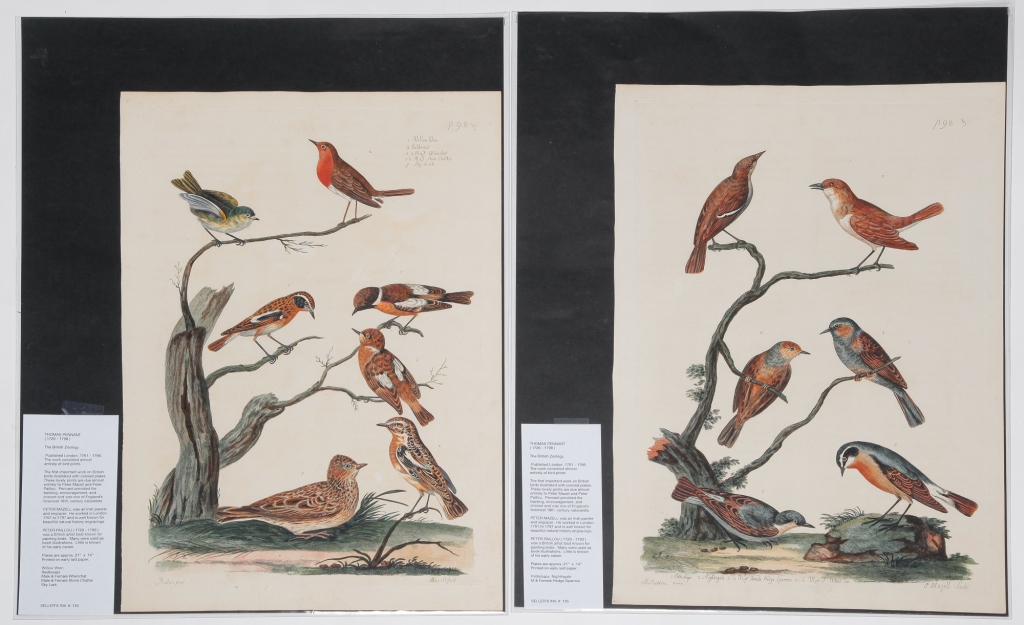 Appraisal: TWO THOMAS PENNANT BRITISH ZOOLOGY BIRD PRINTS Published London -