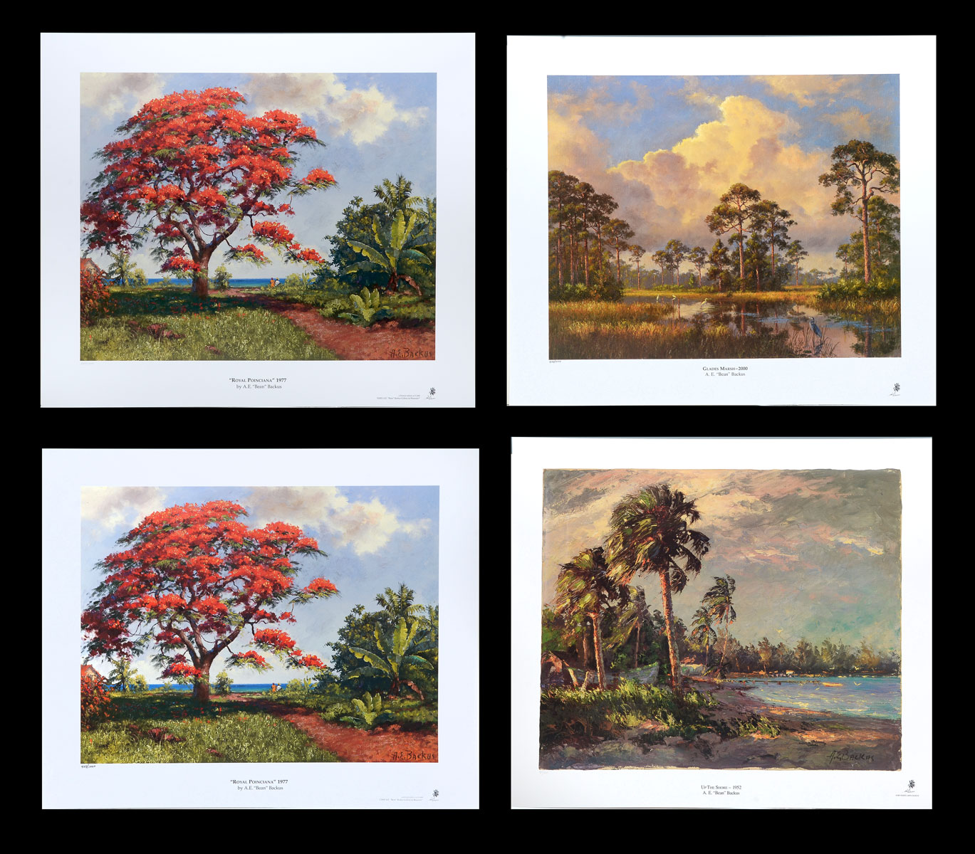 Appraisal: FOUR A E BACKUS FLORIDA LITHOGRAPHS All prints measure ''