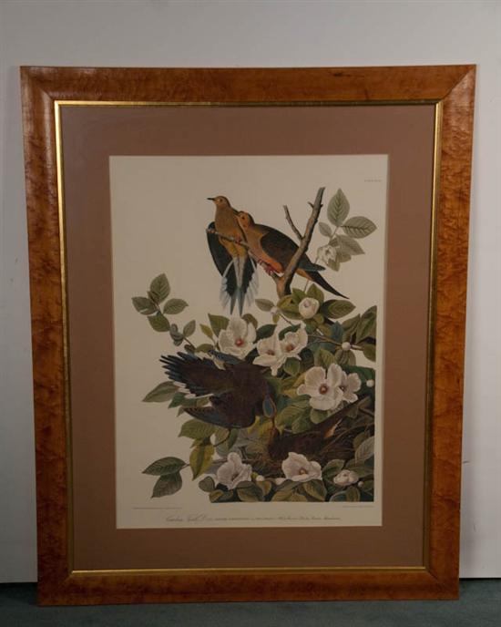 Appraisal: John James Audubon - Haiti France New York Carolina Turtle