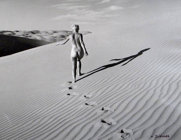 Appraisal: Andre de Dienes Nuki Southern California Gelatin silver print signed