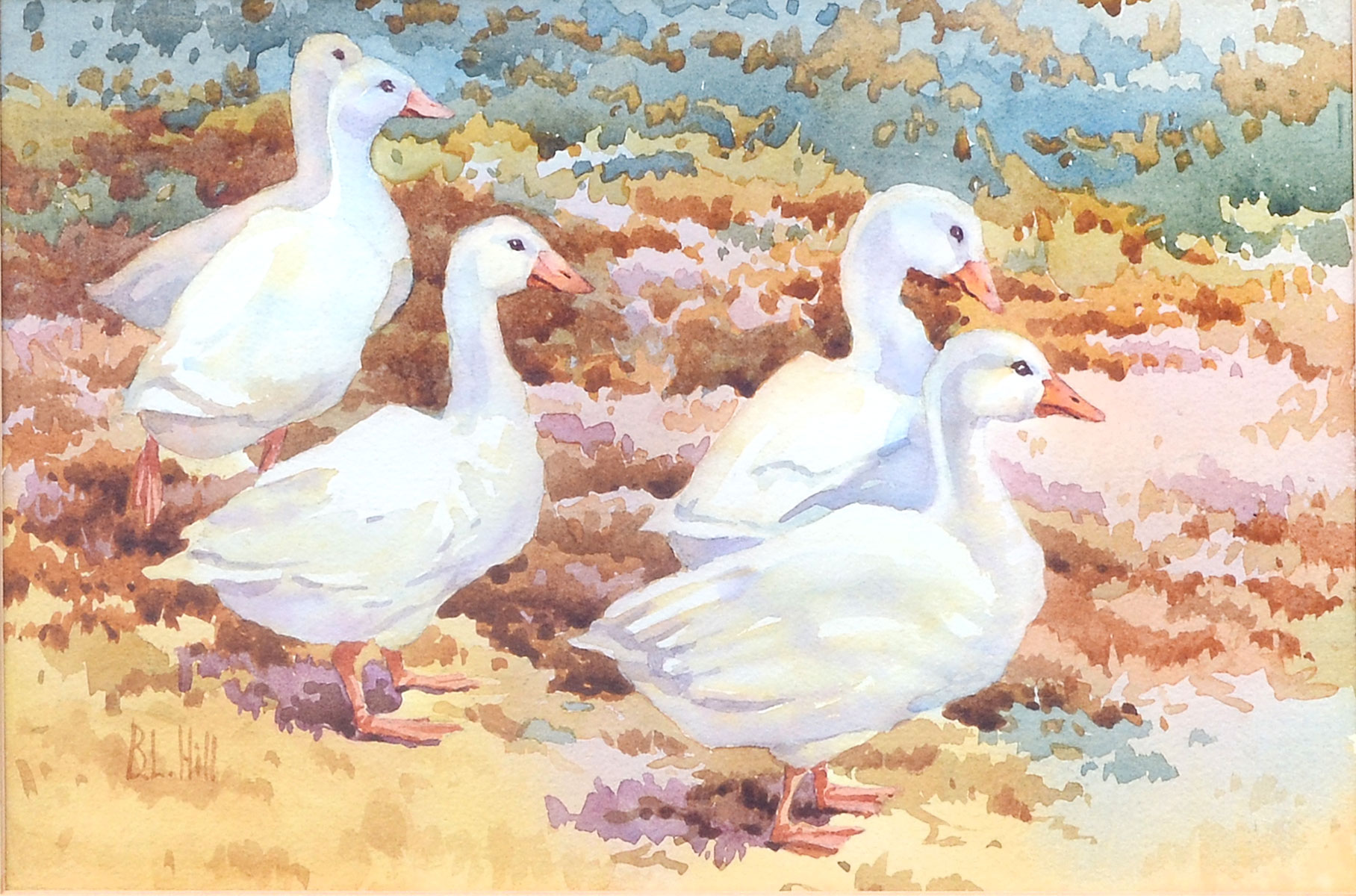 Appraisal: HILL B L American Geese in Landscape Watercolor sight size