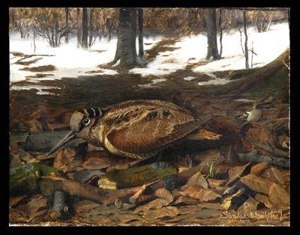 Appraisal: EUROPEAN SCHOOL AUTUMN NATURE SCENE WITH WOODCOCK Oil on canvas