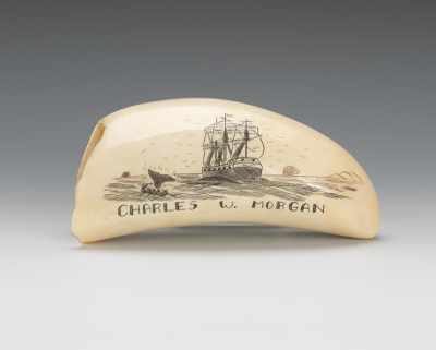 Appraisal: A Scrimshaw Whale's Tooth Incised with the image of a