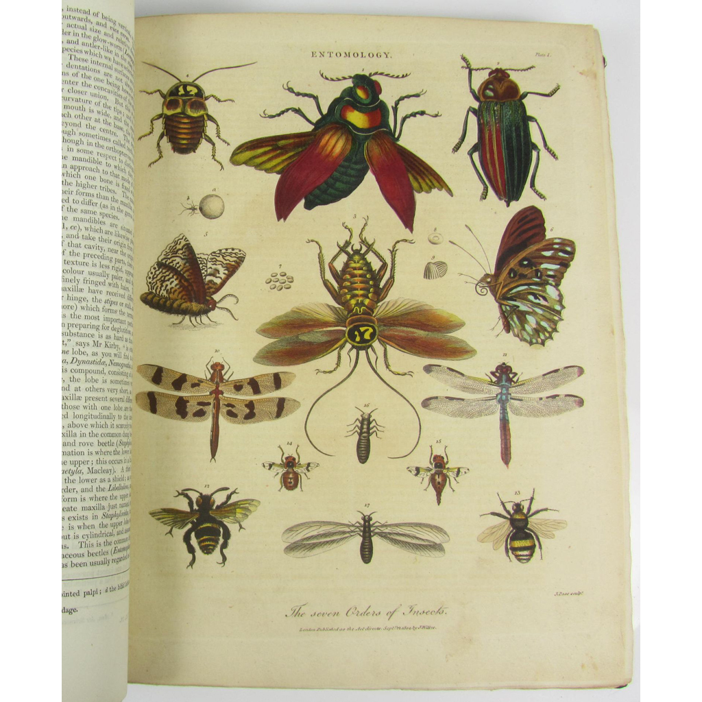 Appraisal: Entomology - Wilson James A Treatise on Insects being the